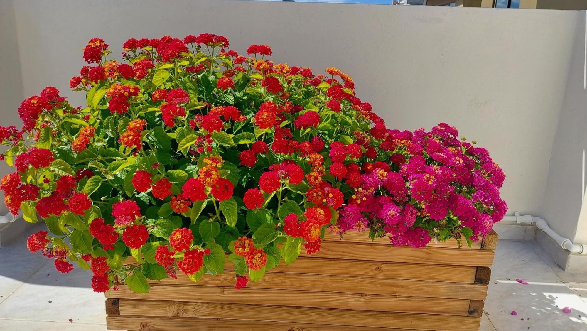 Elegant Apartment In The Heart Of Heraklion Екстер'єр фото